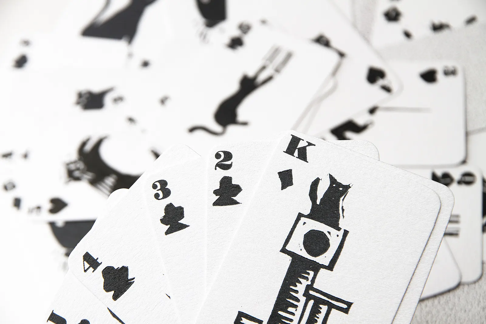 White puppies — printed cards showcase