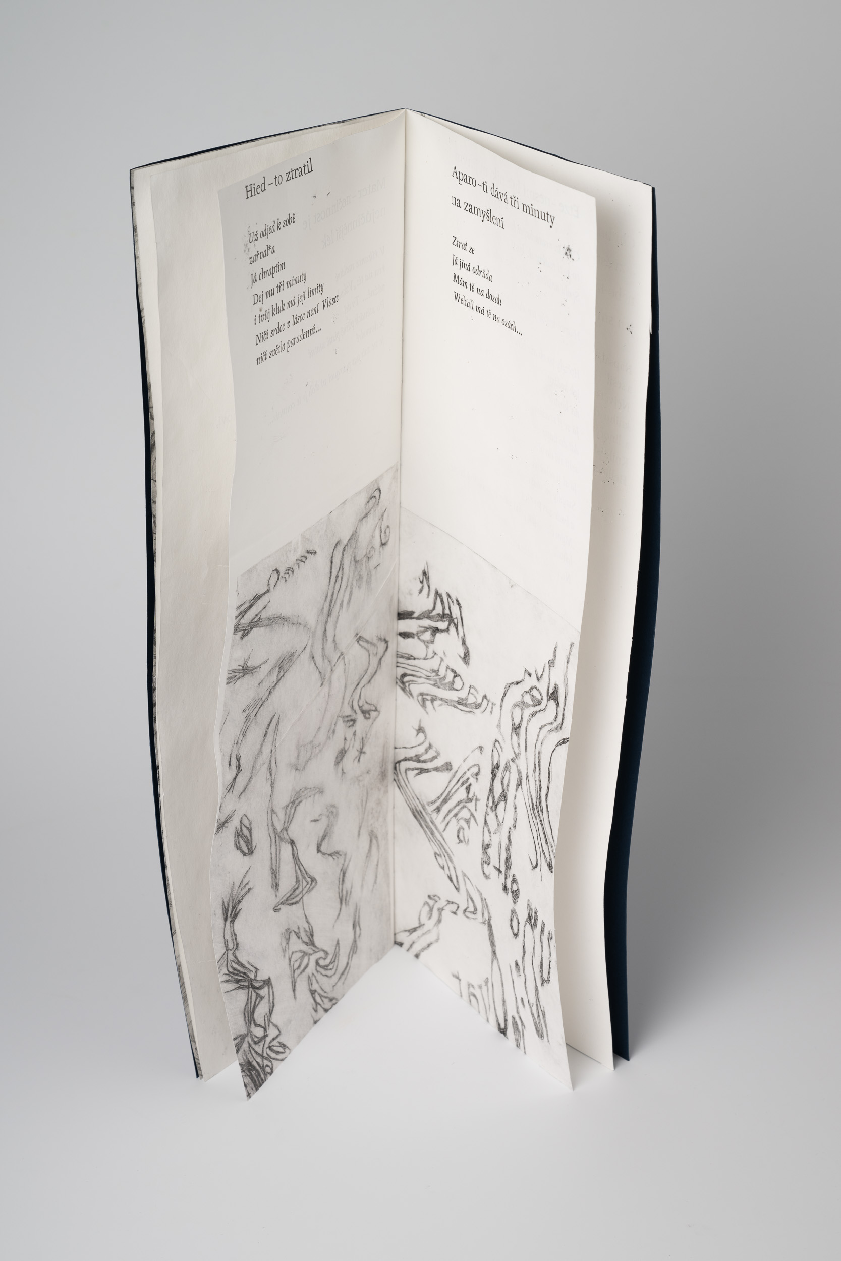 Wrongly developed dreams poems