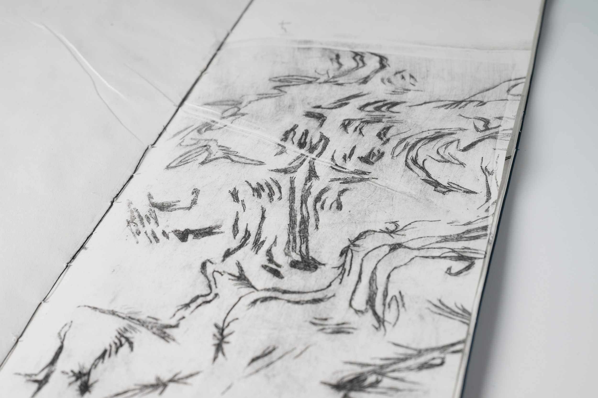 Wrongly developed dreams intaglio illustration