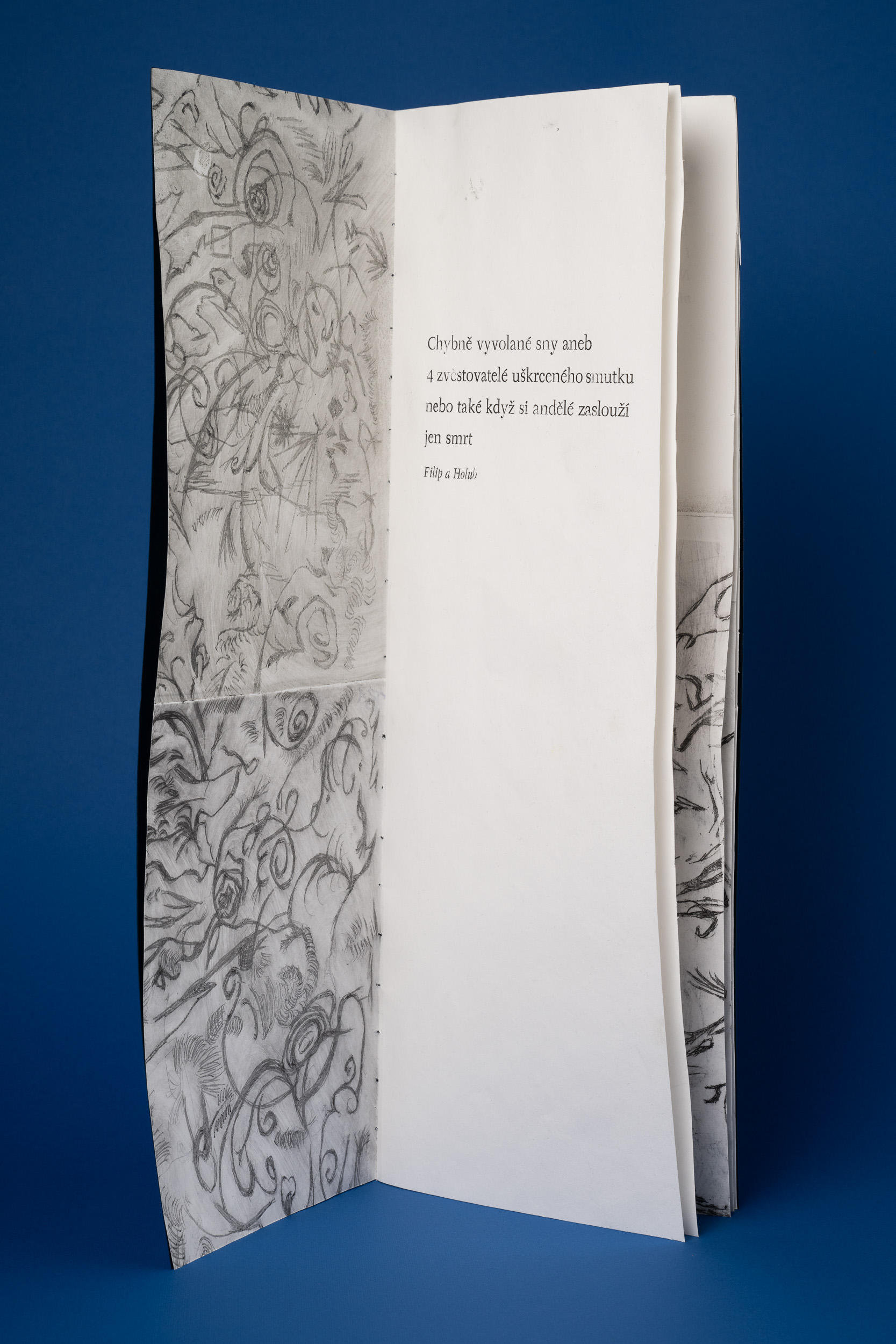 Wrongly developed dreams title