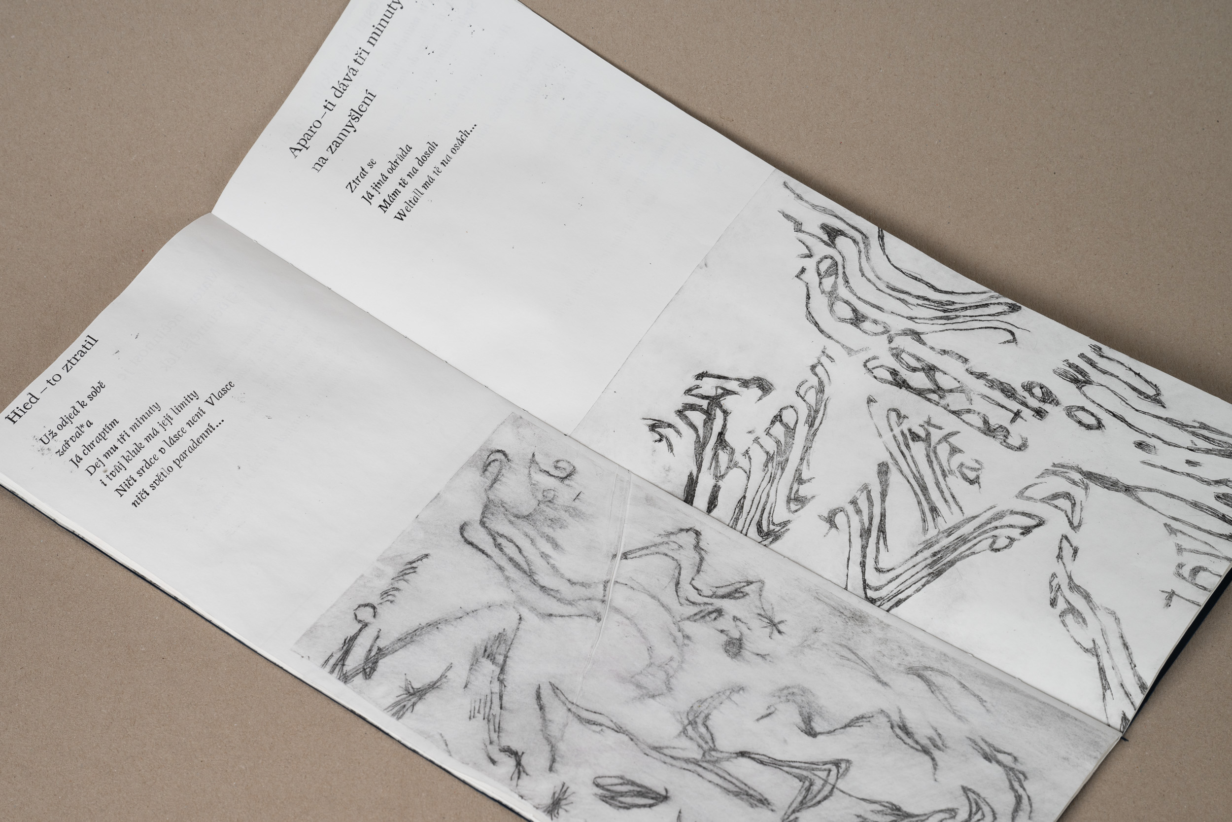 Wrongly developed dreams poems2